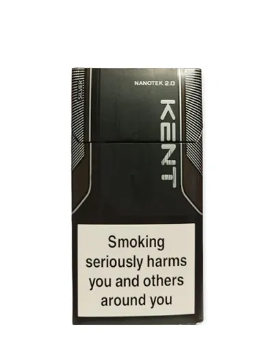 Kent Nanotek 2.0 Silver ithal sigara