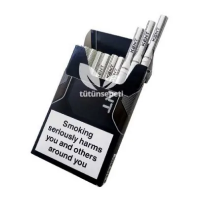 Kent Nanotek 2.0 Silver ithal sigara