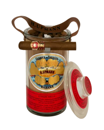 H. Upmann Noellas (CDH) Puro 10's FREESHOP