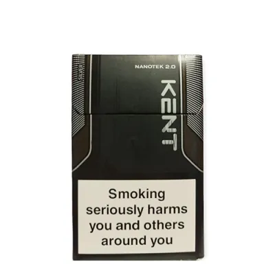 Kent Nanotek 2.0 Silver ithal sigara
