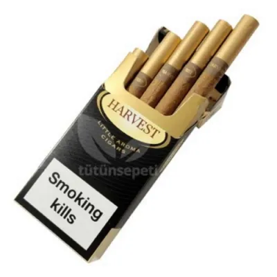 Harvest Sweet Coconut sigara  - Hindistancevizi