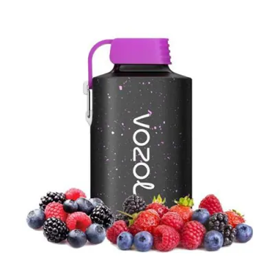 Vozol Gear 10000 Forest Berry Storm Puff