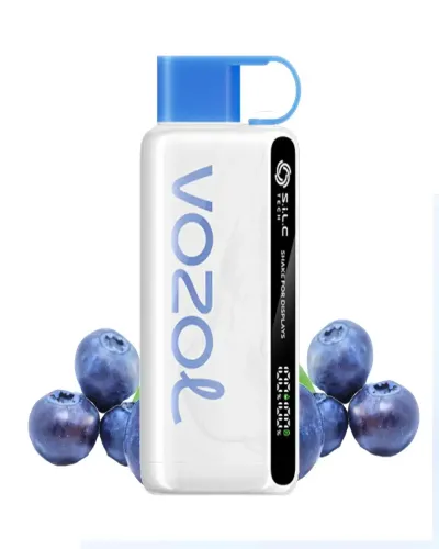 Vozol Star 12000 Puff Blueberry Storm