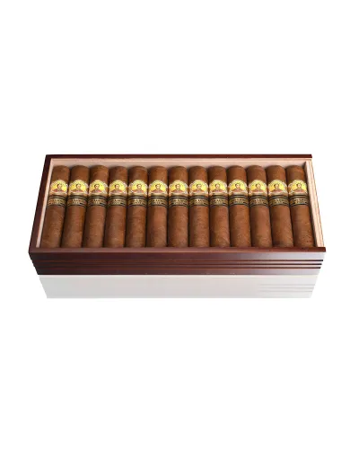 Bolivar Regentes Puro 10's FREESHOP)