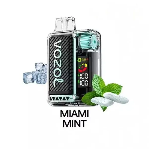 Vozol Vista 20000 Miami Mint