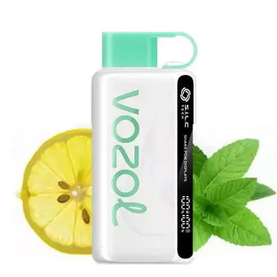 Vozol Star 12000 Puff Lemon Mint