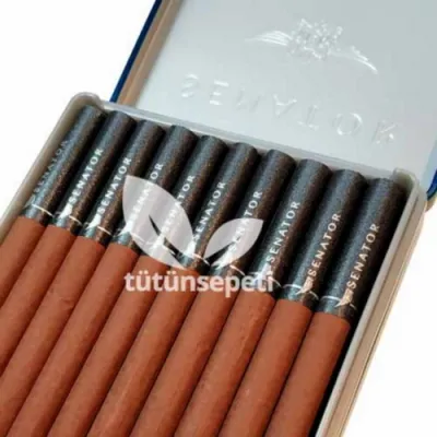 Senator Special Winegrape - Şarap Üzümü Aromalı - Metal Kutu