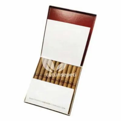 Dannemann Moods Mini Double Filter sigarillo