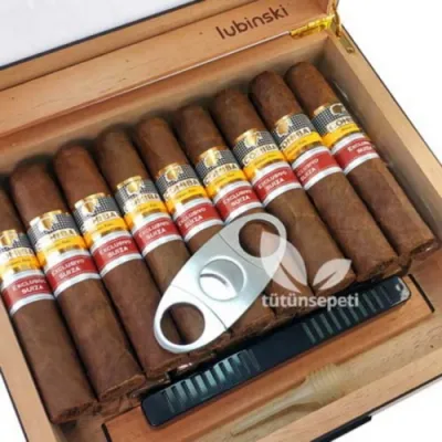 Lubinski Humidor + Cohiba Exclusivo Suiza Puro seti